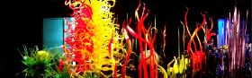 DSC08222.JPG