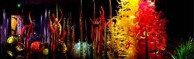 DSC08226.JPG